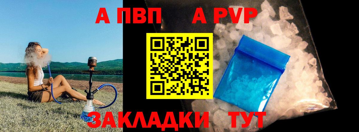 A PVP СК КРИС Белгород