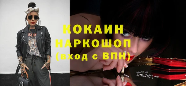 шишки Алзамай