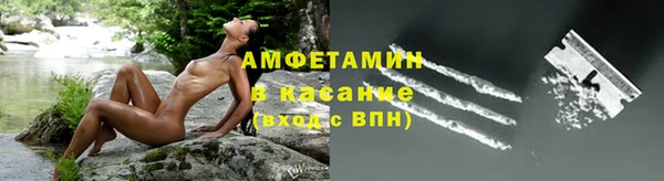 шишки Алзамай