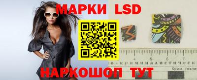 шишки Братск