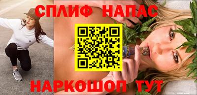 шишки Братск