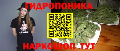 шишки Брянск