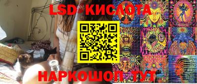шишки Брянск