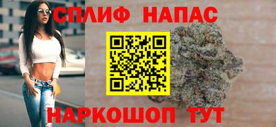 шишки Брянск
