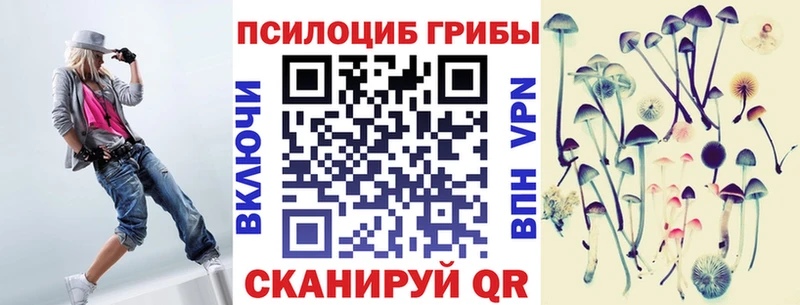 дарк нет состав  ссылка на мегу маркетплейс  Белгород  Галлюциногенные грибы Psilocybine cubensis 