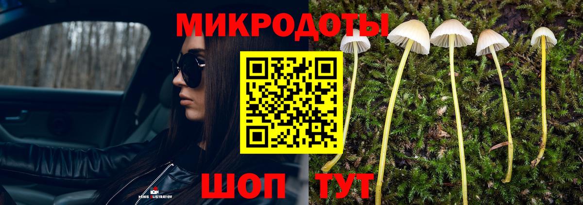 Белгород  Псилоцибиновые грибы MAGIC MUSHROOMS  Вход с VPN 